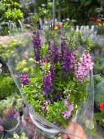 z7738594435769-f4e568711cabb5f33348687f2a9f32d0