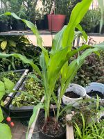 z7767346699981-edfea3ebe2d49ebd4965c1c268c89fef