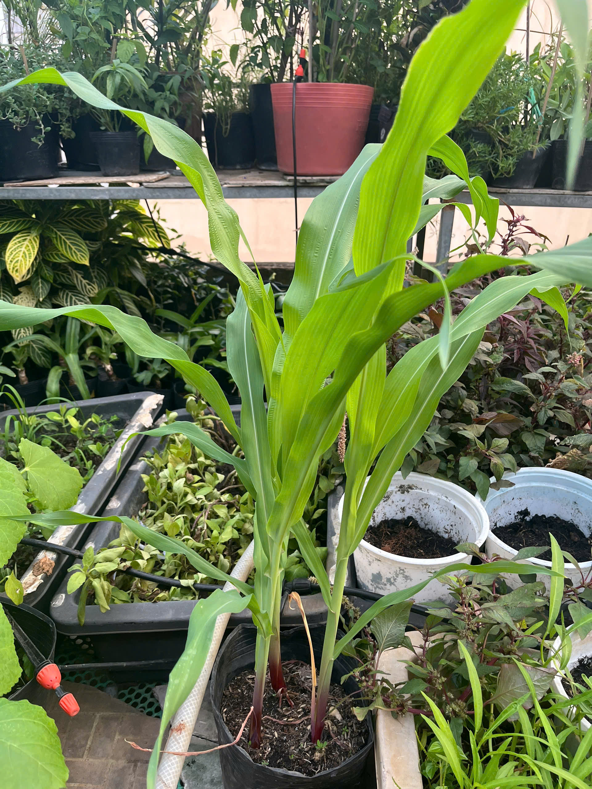 z7767346699981-edfea3ebe2d49ebd4965c1c268c89fef