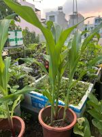 z7767346704140-0c24ce82c2f0f073359ac8270de6687f