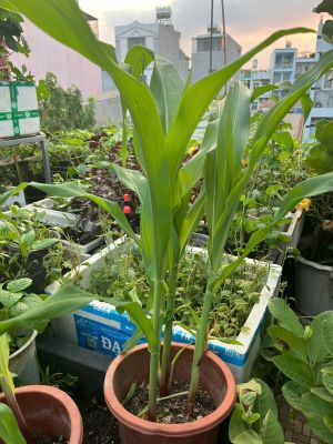 z7767346708648-273392e7e2f7d9d43e680e402a51f5ea