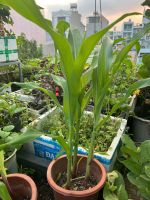 z7767346708648-273392e7e2f7d9d43e680e402a51f5ea