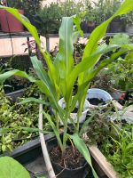 z7767346717289-1b20acccf2b1d74cba37e28352ad7b5f