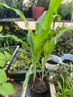 z7767346725321-68a212eb51e91baf5e7747c3753c2e12