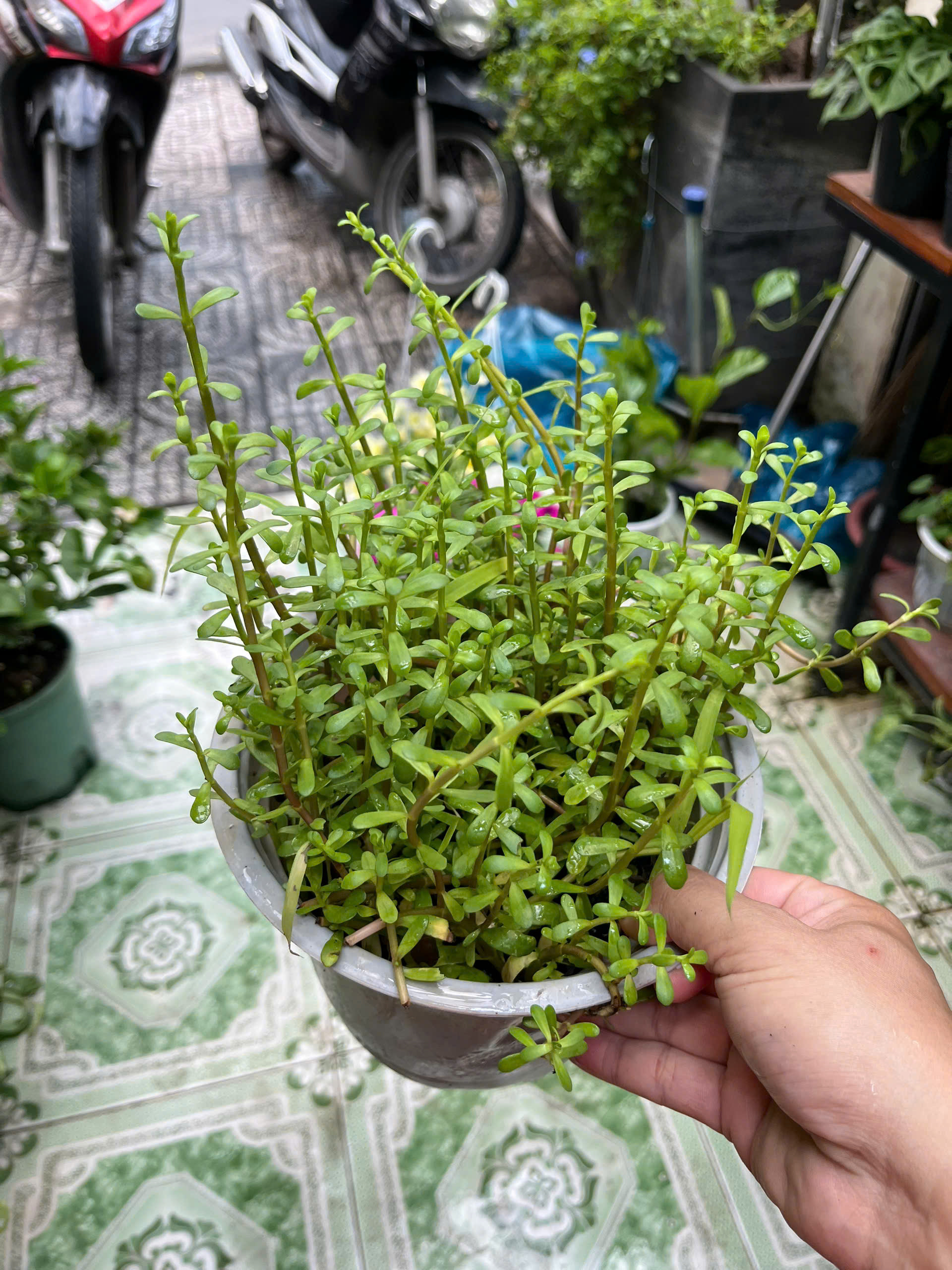 z7778666172485-41a7fe4ddc2eebb5e03849351565c447