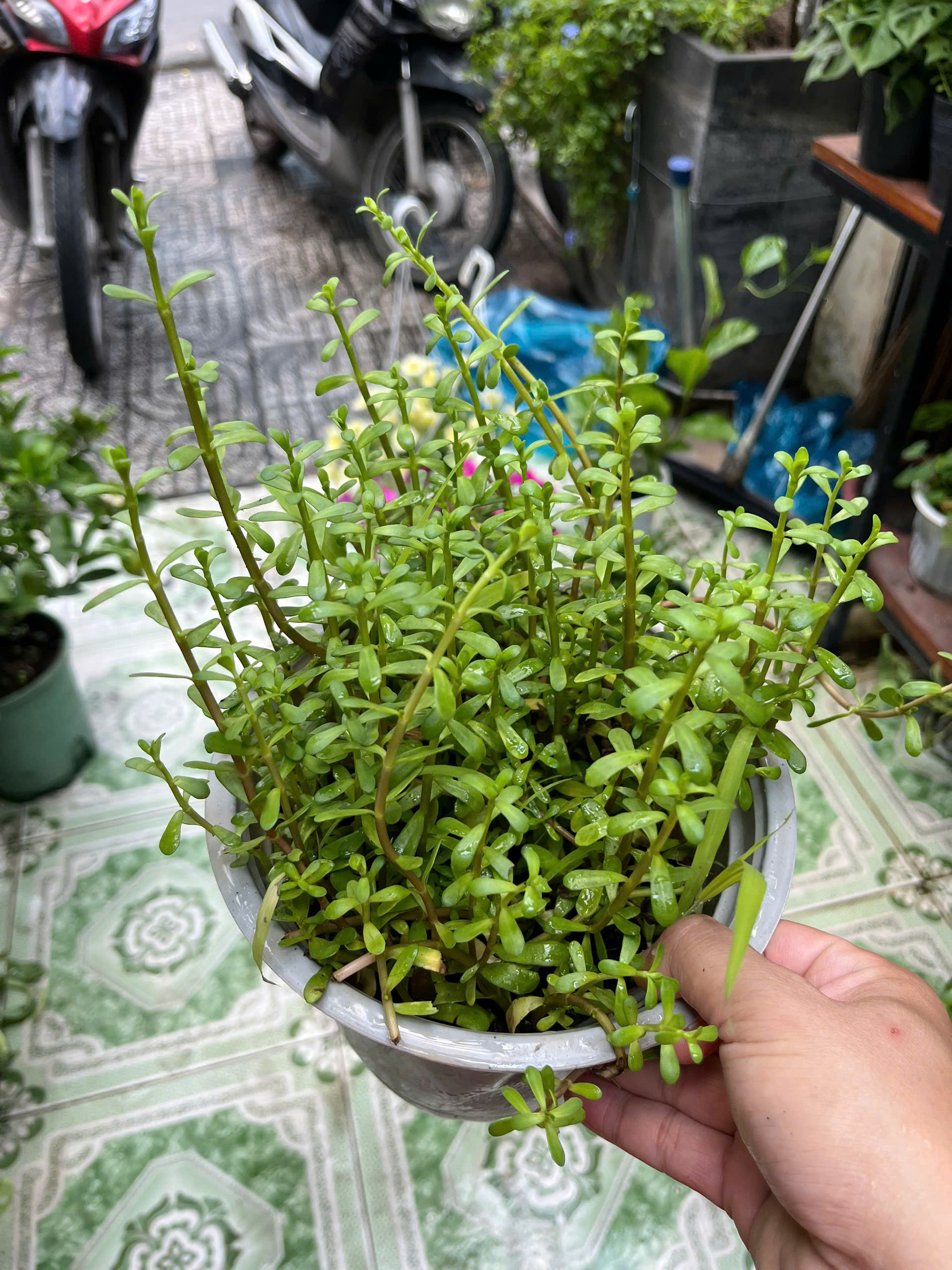 z7778666180437-19265dea3a7bf3b5dce70da42eead2d5