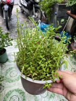 z7778666180697-89901f7e65635b228ed5799561812930