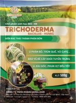 trichoderma-hoang-hung-1
