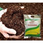 trichoderma