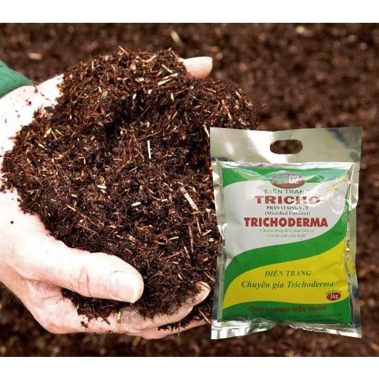 trichoderma