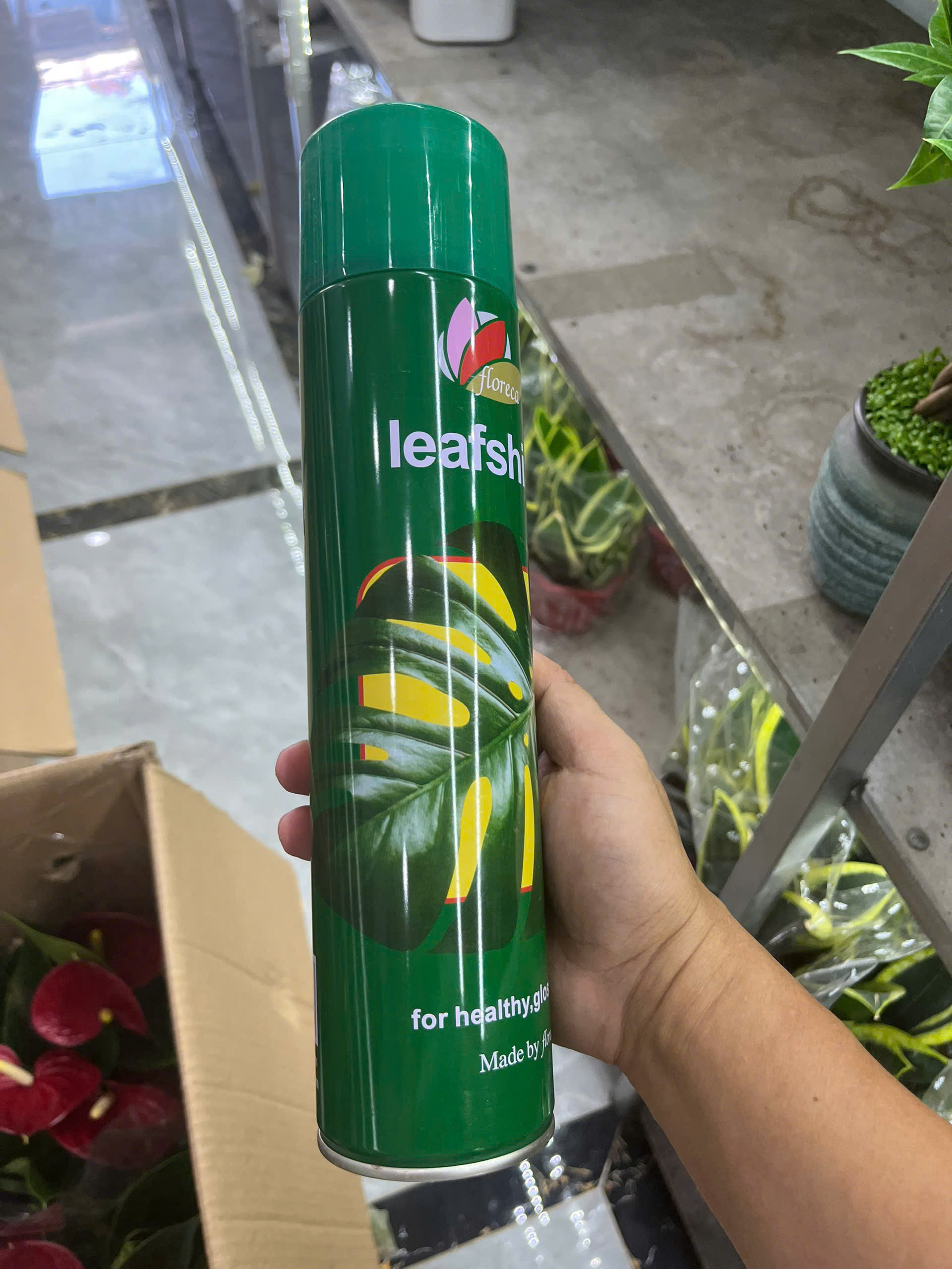 chai-xit-bong-la-3