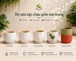chau-gom-size-trung