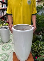 chau-gom-trang-cao-2