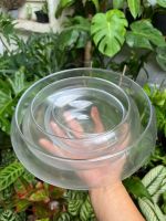 chau-thuy-tinh-low-bowl-1