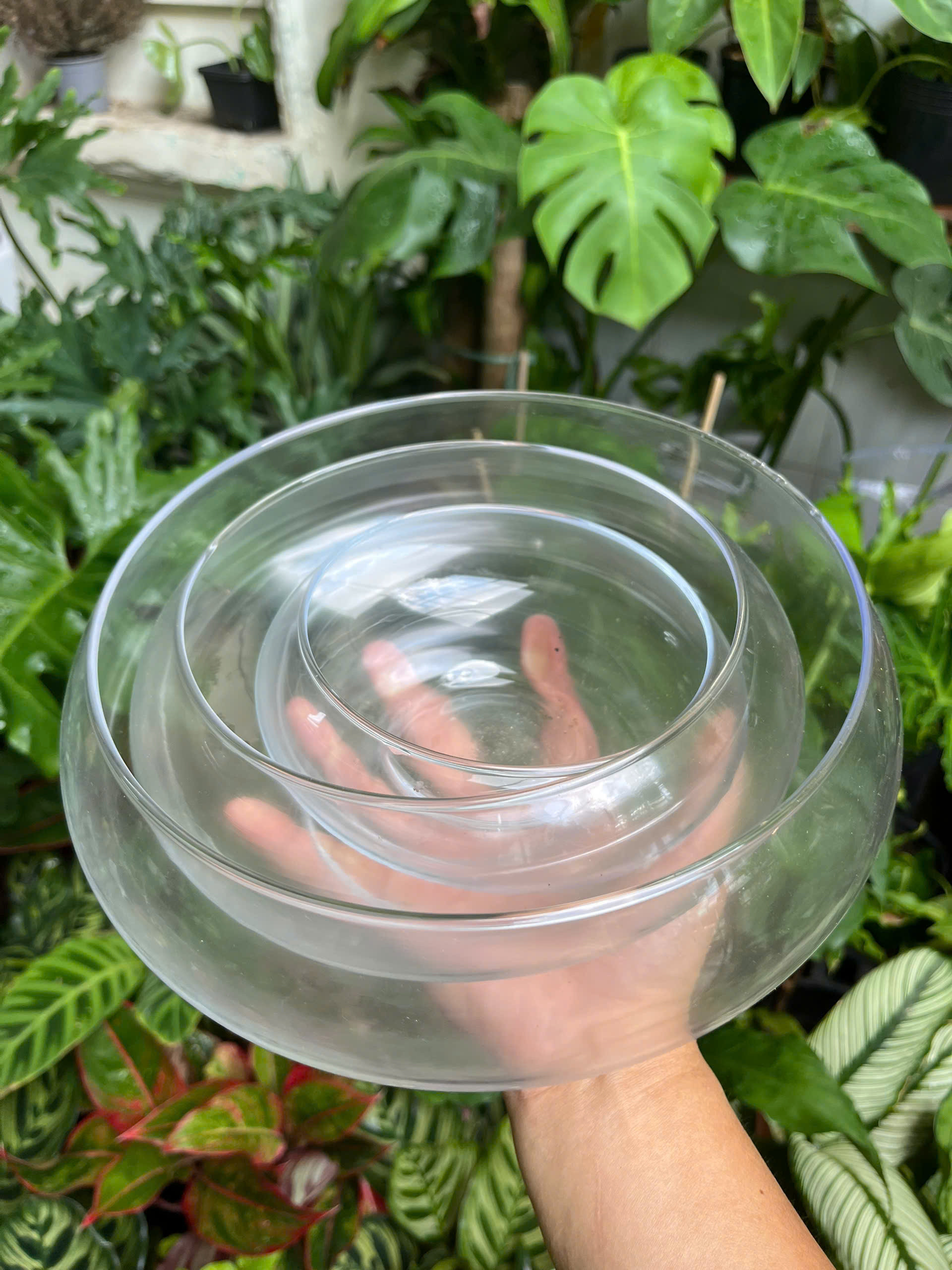 chau-thuy-tinh-low-bowl-1