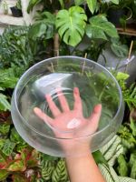 chau-thuy-tinh-low-bowl-2