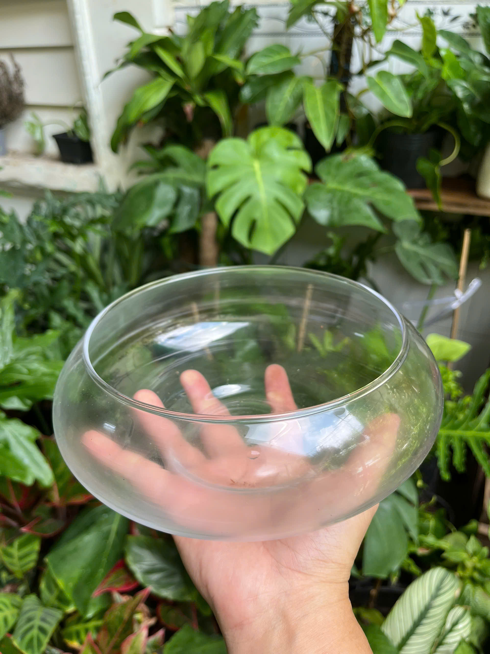 chau-thuy-tinh-low-bowl-5
