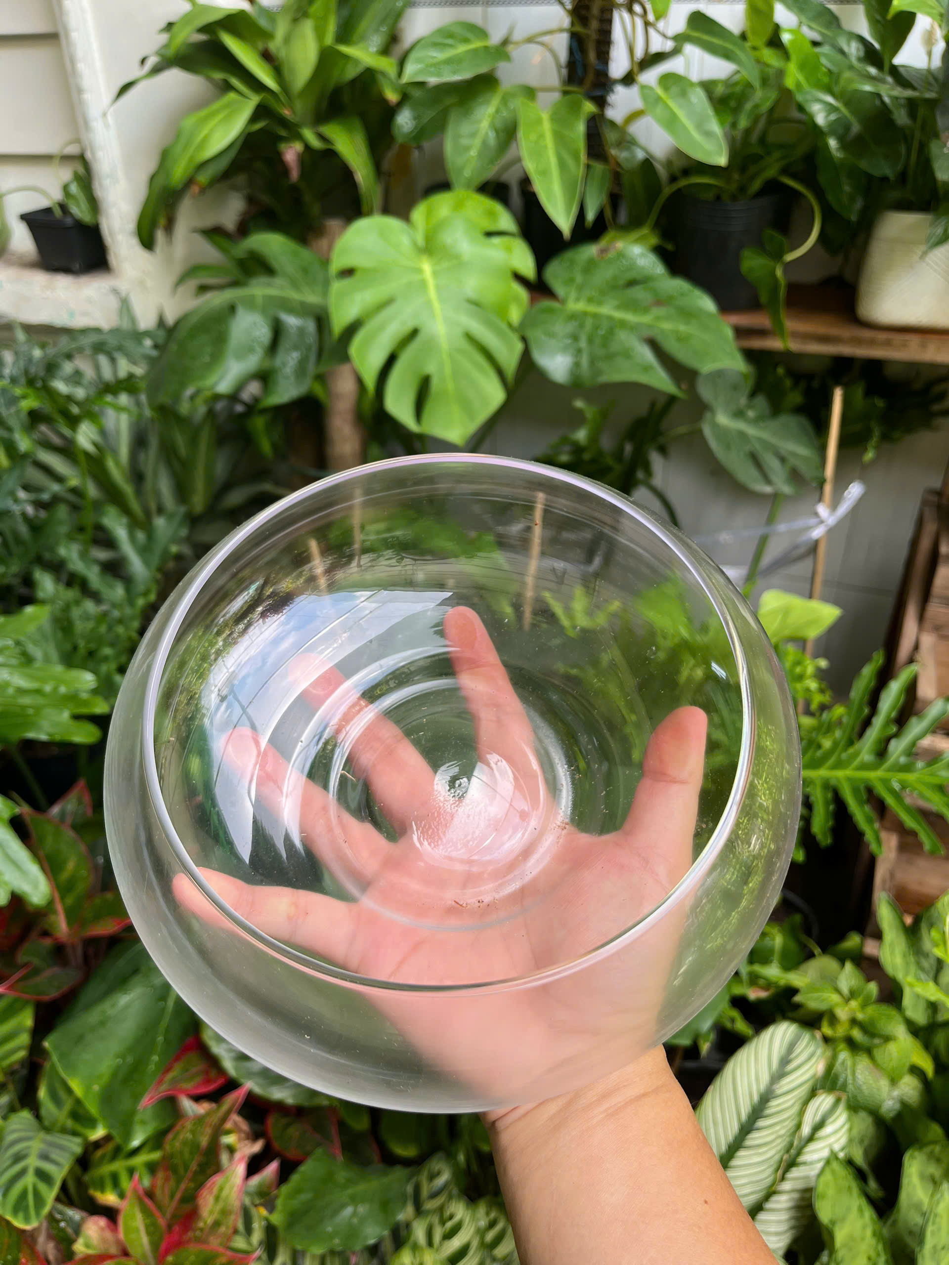 chau-thuy-tinh-low-bowl-7