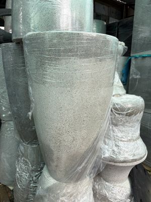 chau-xi-mang-dau-dan-4
