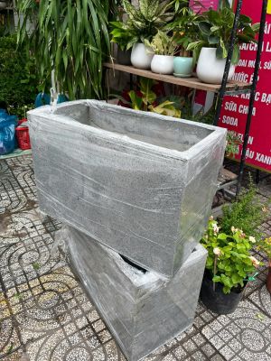chau-xi-mang-xam-1