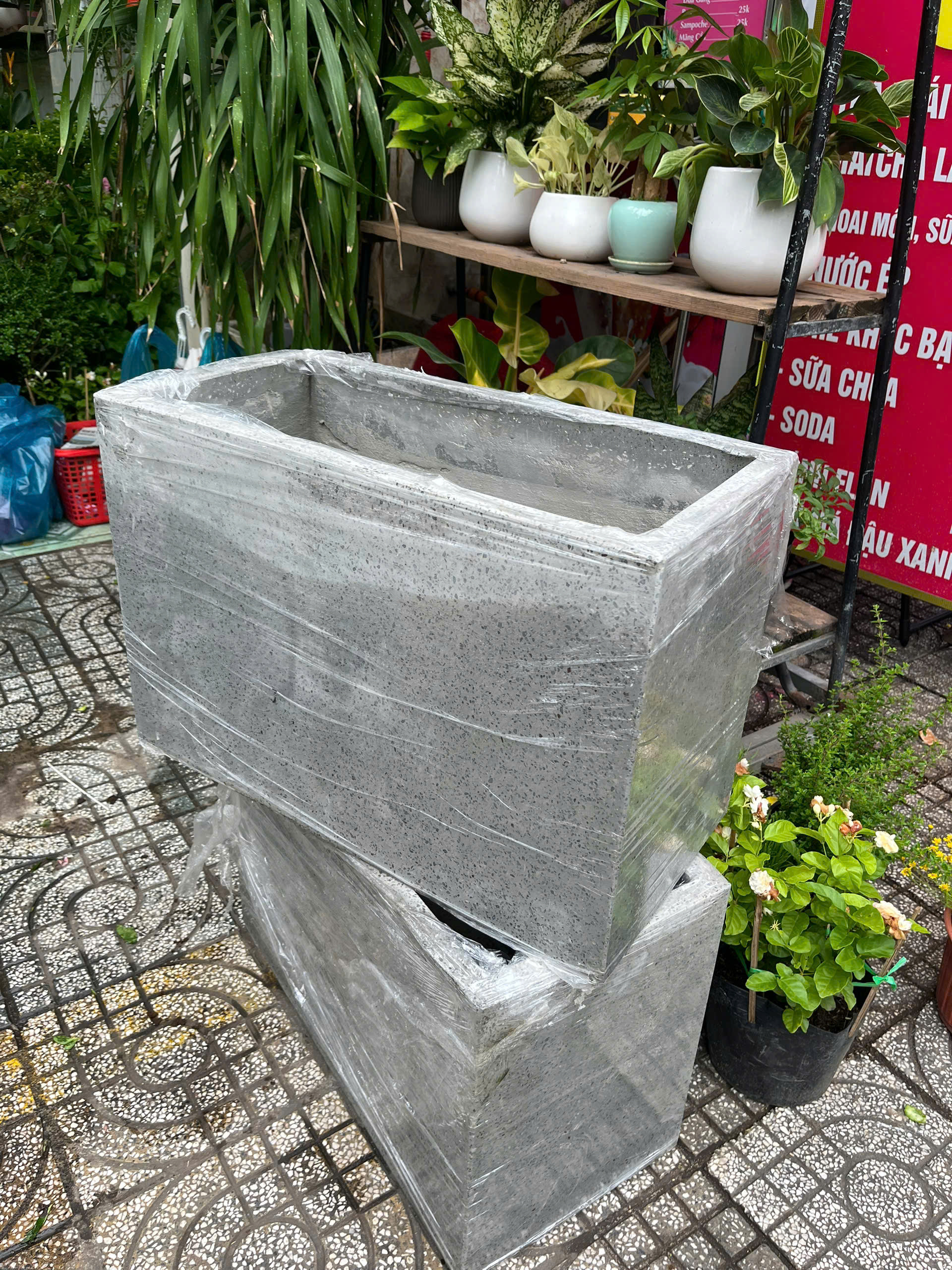chau-xi-mang-xam-1
