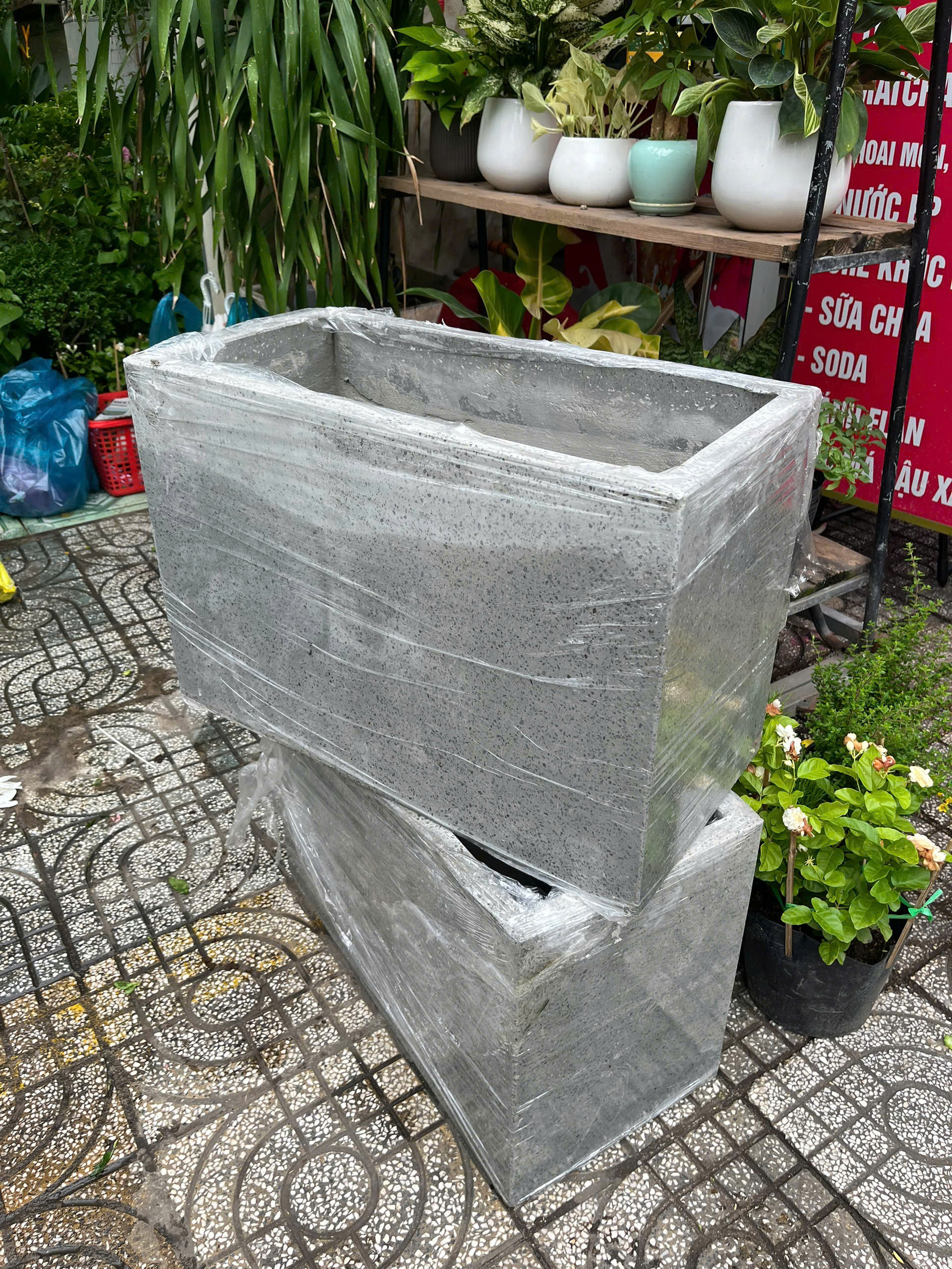 chau-xi-mang-xam-5