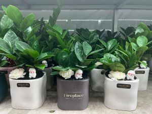 kim-tien-mini-decor-3