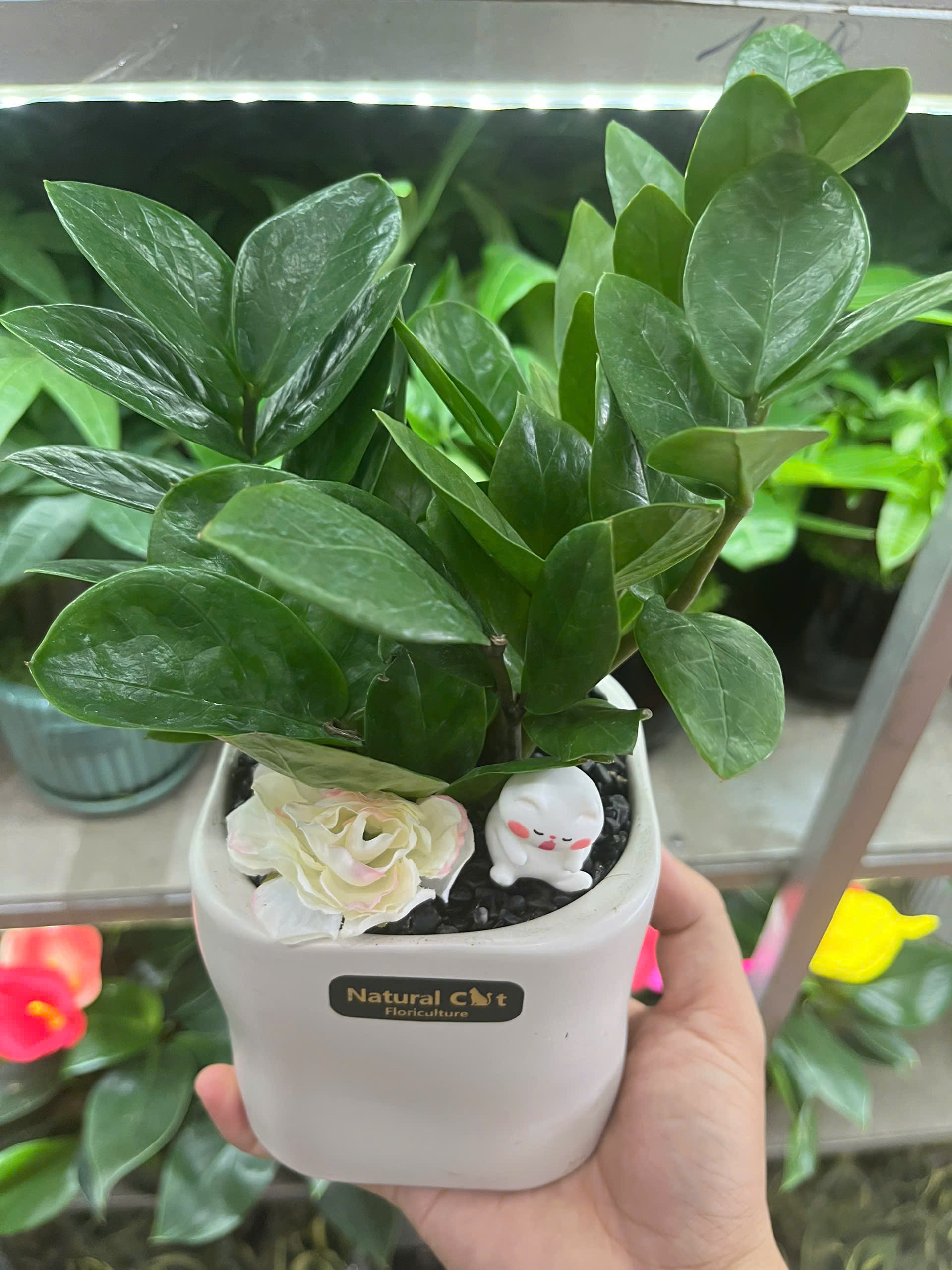 kim-tien-mini-decor-4