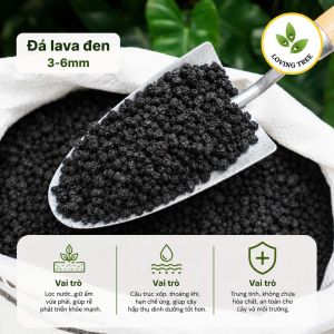 lava-den-2