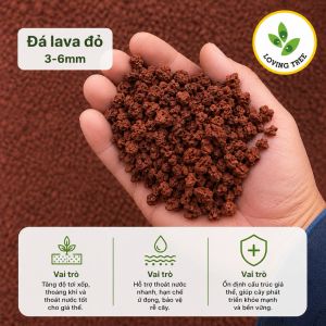 lava-do