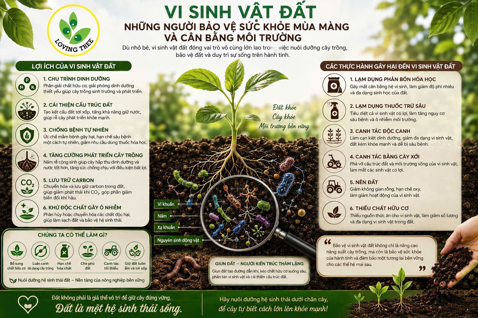 vi-sinh-vat