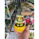 vn-11134207-81ztc-mrydxxt2i3gm11