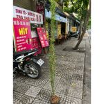 vn-11134207-81ztc-ms3juxr61ypxd6