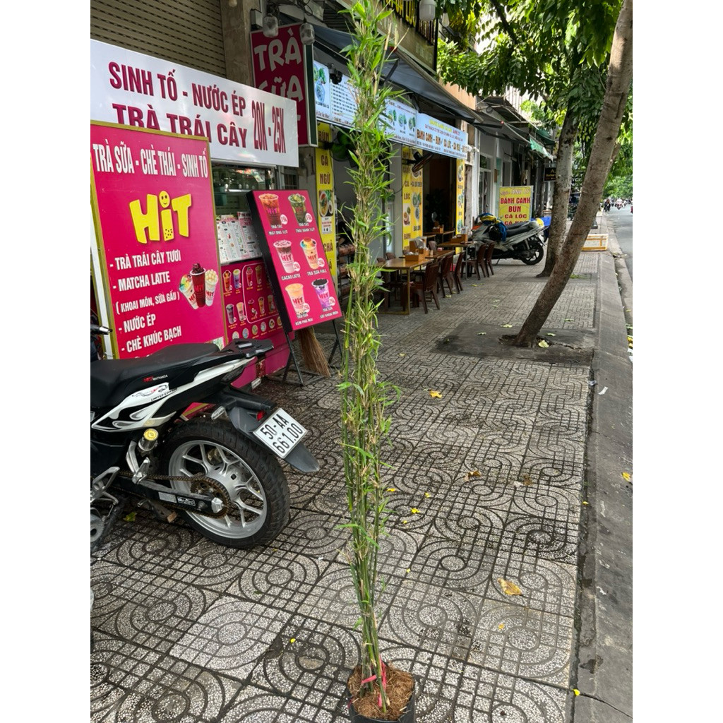 vn-11134207-81ztc-ms3juxr61ypxd6