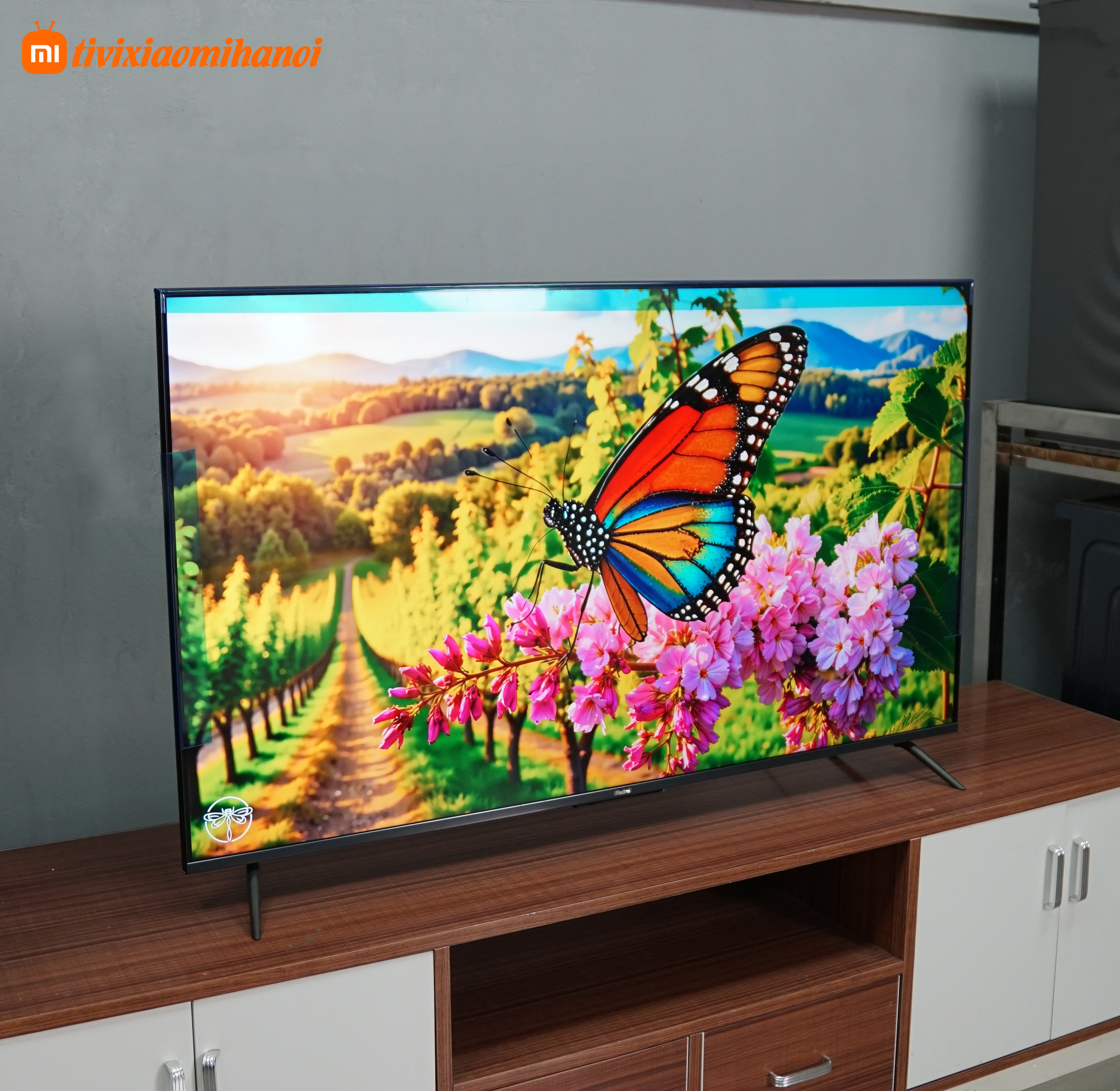 Tivi Xiaomi Redmi X55 2022