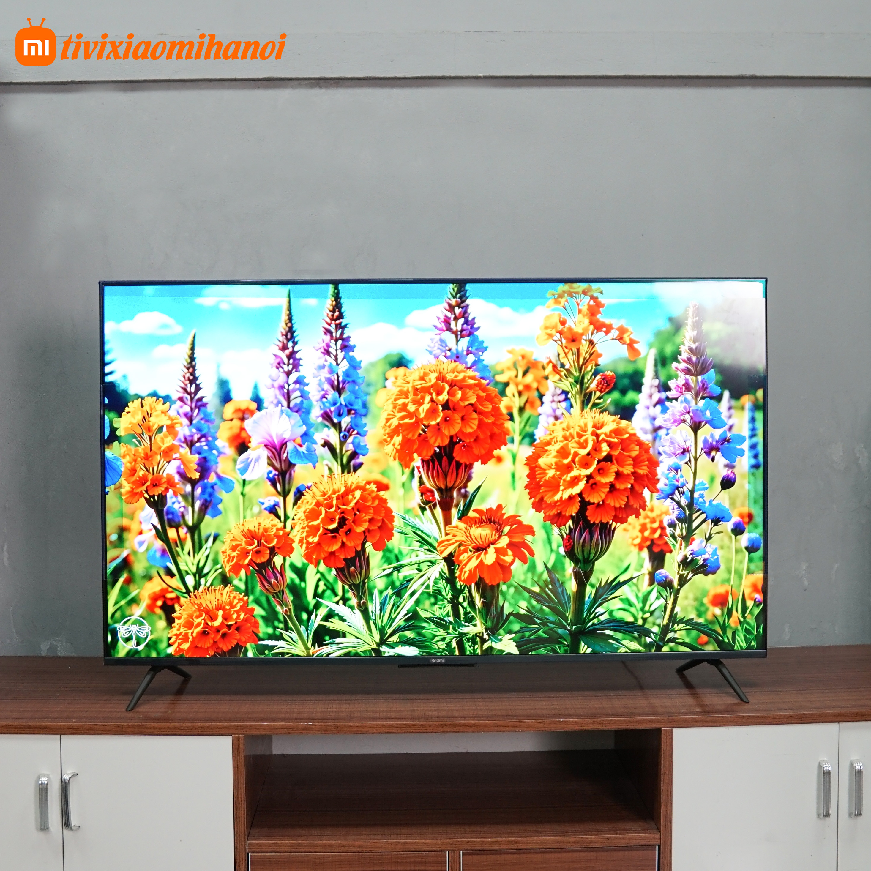 Tivi Xiaomi Redmi X55 2022