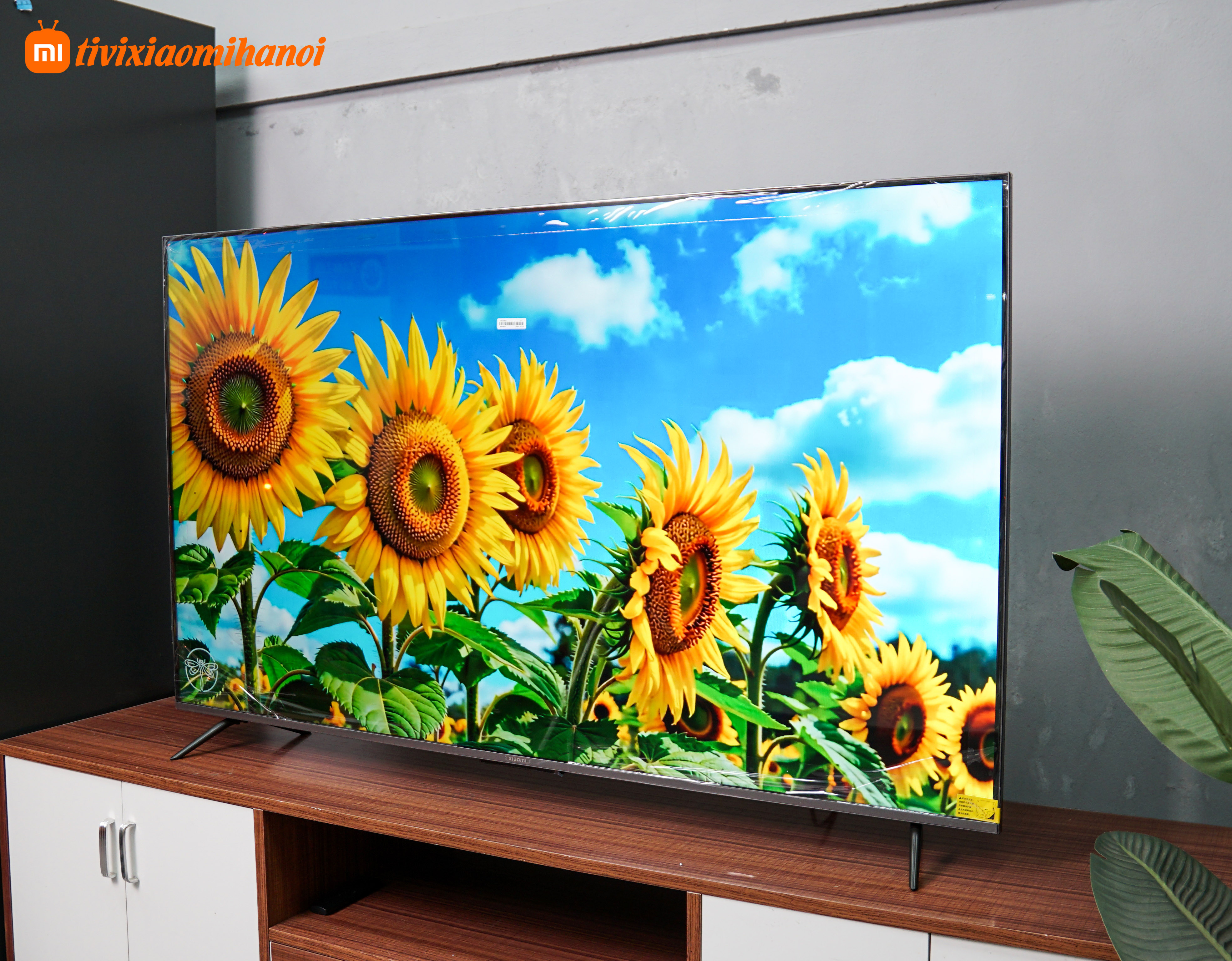 Tivi Xiaomi S Pro 65 Mini LED