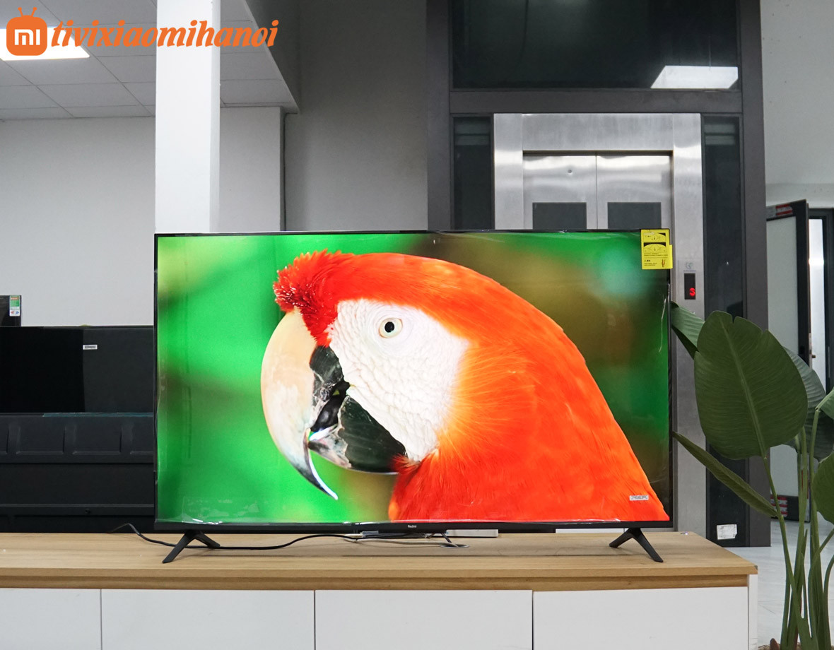 Tivi Xiaomi Redmi A Pro 50 2025