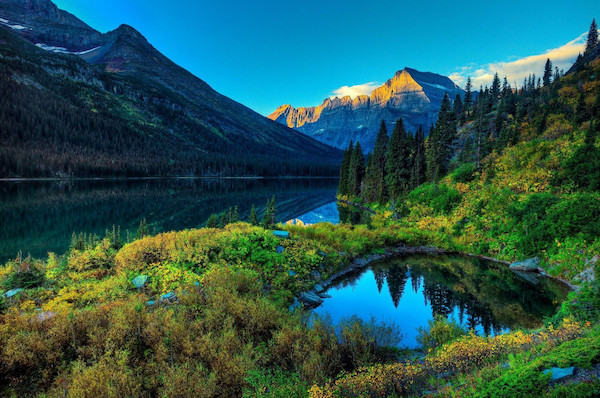 image-1641052624