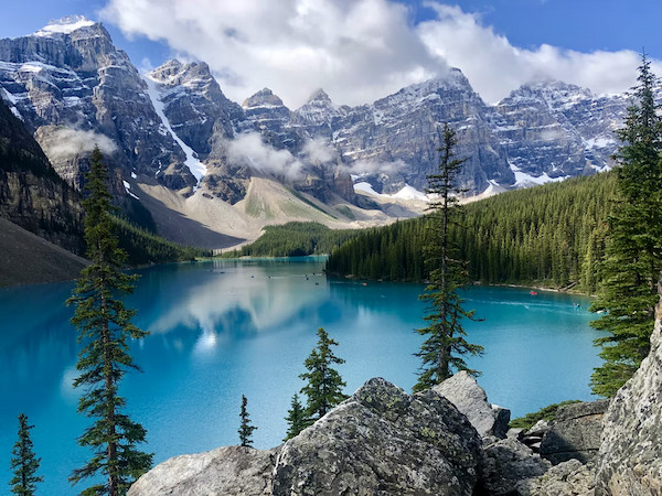 image-96-1641052428