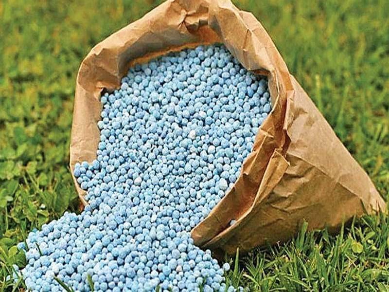 Vận chuyển phân bón từ Bình Dương đến các tỉnh phía Bắc bằng đường sắt – Giải pháp logistics hiệu quả, an toàn và tiết kiệm