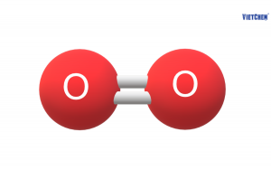 Oxygen (O2) là gì? Từ A-Z về Tính chất, Vai trò & Ứng dụng | VIETCHEM