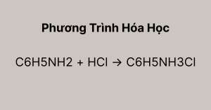 C6H5NH2 + HCl → C6H5NH3Cl | Aniline + HCl
