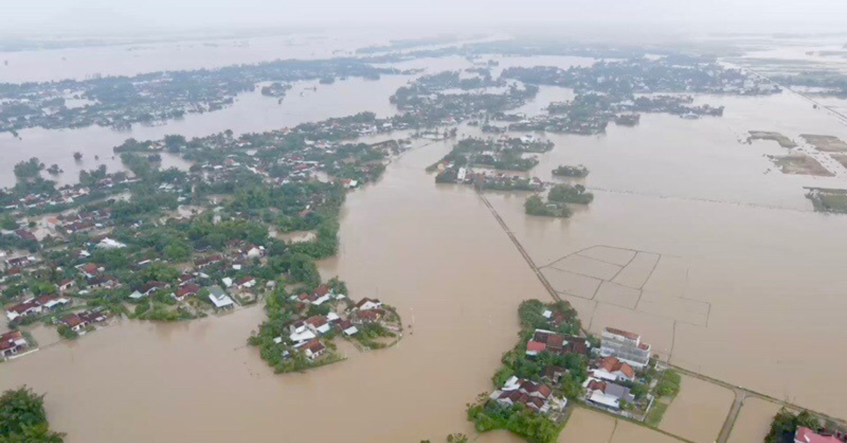 phu-yen-chim-trong-bien-nuoc