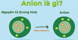 Anion Là Gì? So Sánh Anion và Cation & Ứng Dụng - VIETCHEM