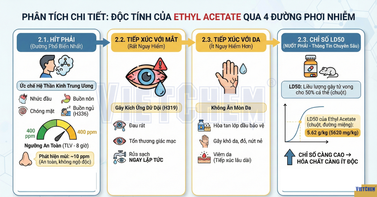 doc-tinh-cua-ethyl-acetate-qua-4-duong-phoi-nhiem