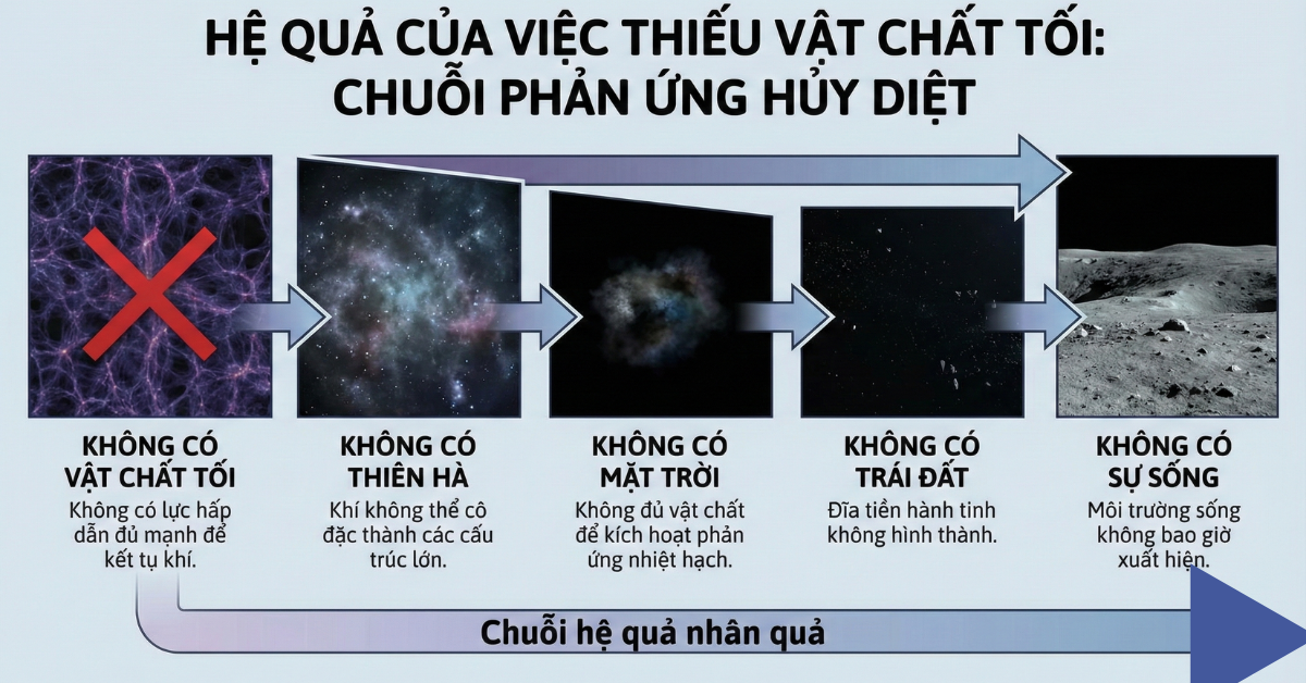 he-qua-vat-chat-toi