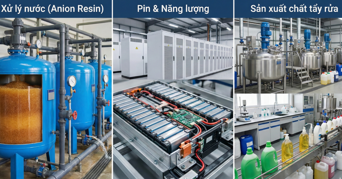 ung-dung-thuc-te-cua-anion