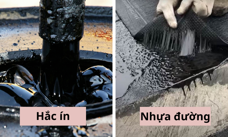 hac-in-vs-nhua-duong