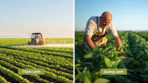 Thâm canh là gì? Toàn tập kỹ thuật nuôi trồng Thâm canh & Siêu thâm canh 2026